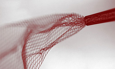 la red de elctrodos Inventan una red de electrodos para ser inyectada en el cerebro